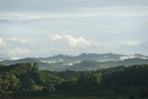 Vue Sur Nature Forêt Tropicale — Photo