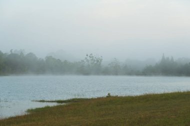 tropikal yağmur ormanları, Tayland görünümünü