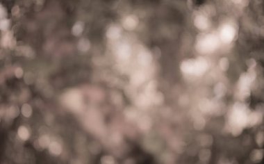 Bokeh ışıkları ile soyut arkaplan