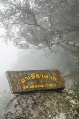 PHA Deaw Dai kayalıklarla Tayland Khao Yai Milli Parkı