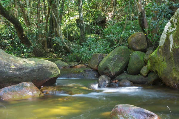 Vista Natureza Floresta Tropical — Fotografia de Stock