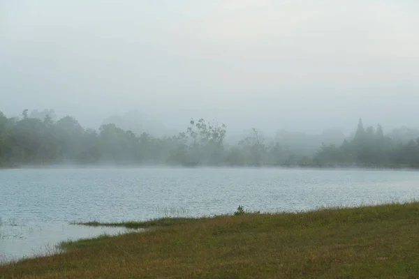 Beskåda Tropisk Regnskog Thailand — Stockfoto