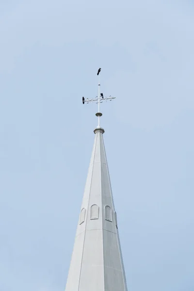 Birds Top Church Christ — Stock Photo, Image
