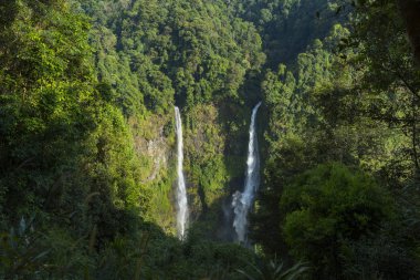 Champasak, Laos Tad Fan şelale peyzaj
