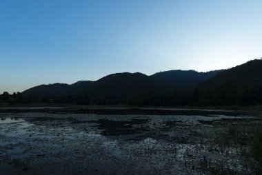 Tropik orman su gölü