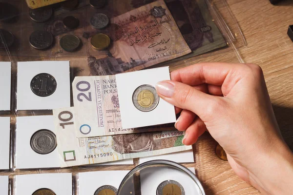 Kadın Polonya Zlotisi görünüyor