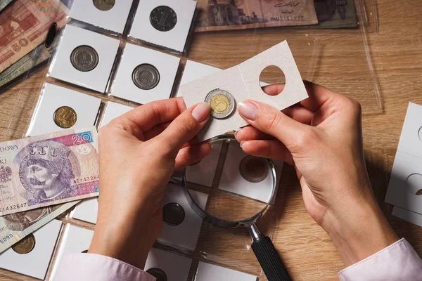 Polish zloty in the woman's hand — Stock Photo, Image