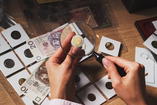 Zloty munt in de woman's hand door het vergrootglas — Stockfoto