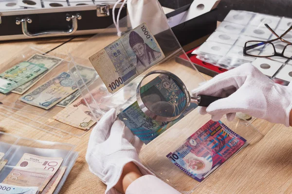 Collectible banknotes in the woman's hand — Stock Photo, Image