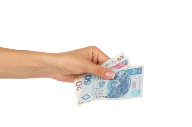 Farklı nominal değerli Polonya Zlotisi el tutar