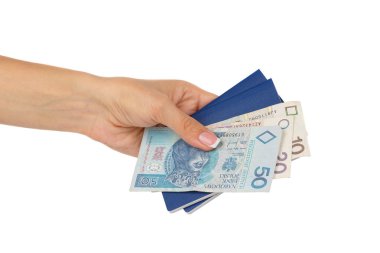 Pasaport ile Polonya Zlotisi, izole el tutar