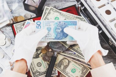 Büyüteç, Polonya Zlotisi ve Amerikan Doları ile el