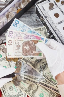 Bir büyüteç ve Lehçe Zloty ile beyaz eldiven Eller