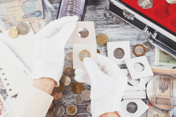 Las manos en los guantes sostienen la voltereta con la moneda del colector — Foto de Stock