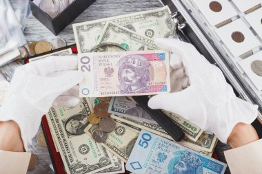 Polonya Zlotisi beyaz eldivenlerle elinde