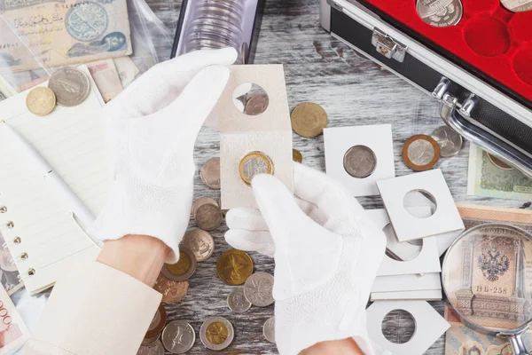 Hands in the gloves hold flip with collector coin — Stock Photo, Image