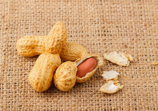 Background from golden peanuts in the shells — Stock Photo, Image