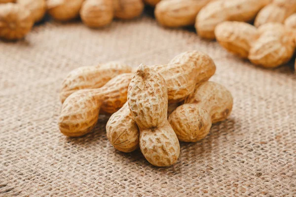 Fondo de cacahuetes dorados en las conchas Imágenes De Stock Sin Royalties Gratis