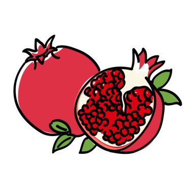 Elle çizilmiş tüm ve dilimlenmiş nar