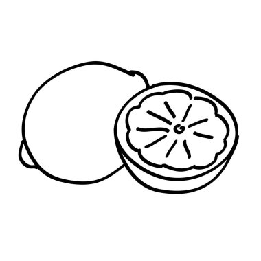 Hand drawn whole and sliced lemon clipart