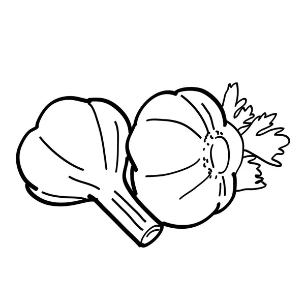 Hand drawn garlic heap — Stock Vector