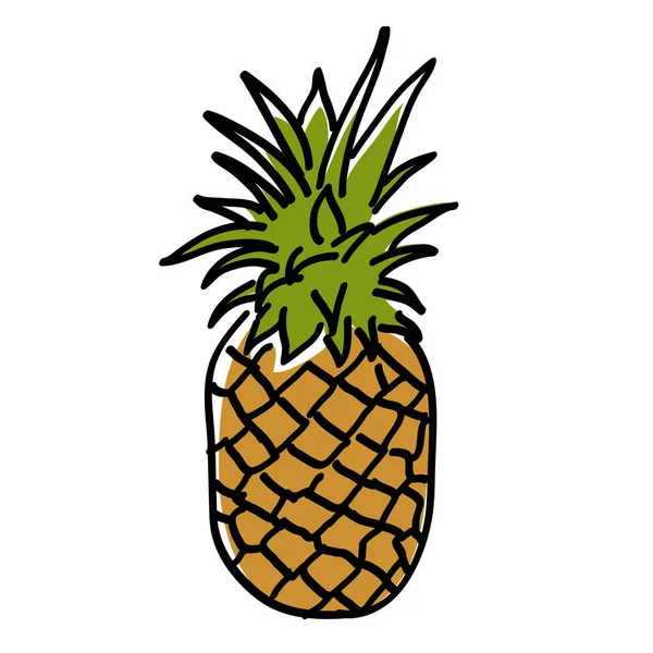 Hand dras ananas i linje — Stock vektor