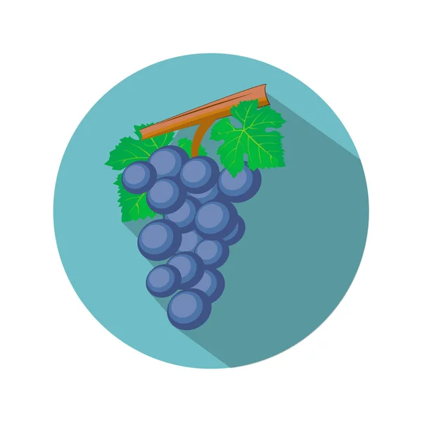 Maturare grappolo d'uva dolce — Vettoriale Stock