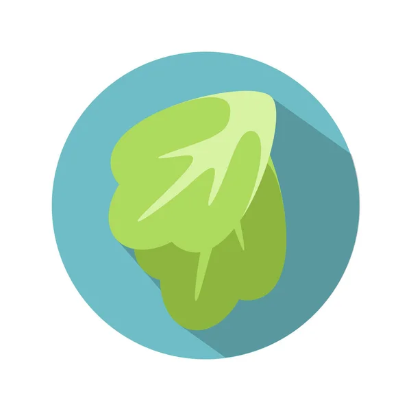 Icono de hojas de ensalada fresca — Vector de stock