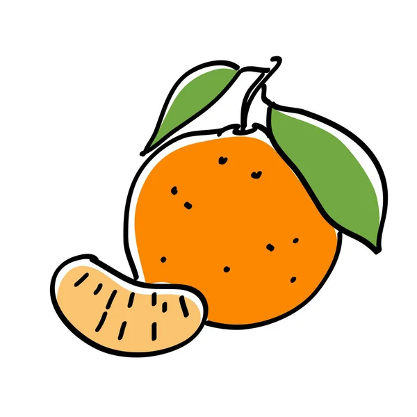 Mandarina dibujada a mano con hoja — Vector de stock