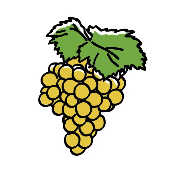 Cacho de uva desenhado à mão com folhas —  Vetores de Stock