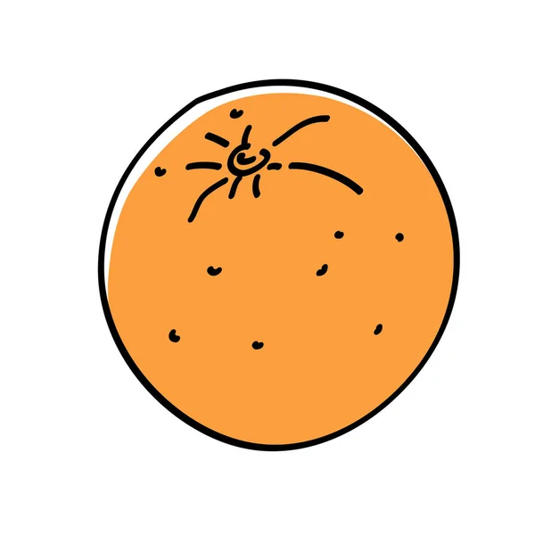 Tiré à la main orange mûr — Image vectorielle