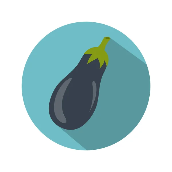 Mogen färsk aubergine — Stock vektor