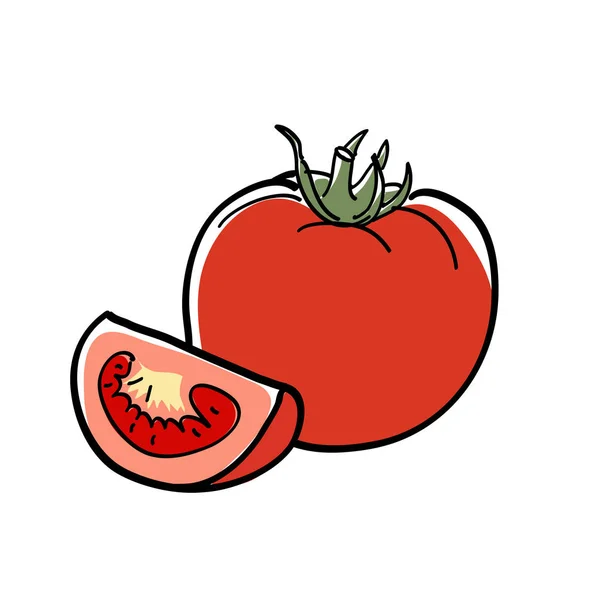Rad hand dras tomat — Stock vektor