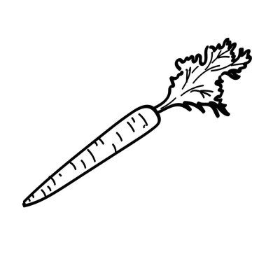 Elle çizilmiş havuç yaprakları ile