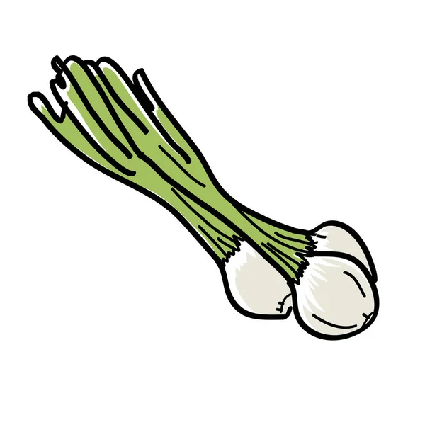 Cebolla verde dibujada a mano — Vector de stock