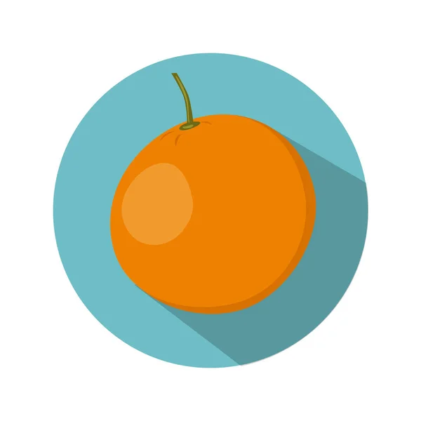 Söt mogen apelsin — Stock vektor