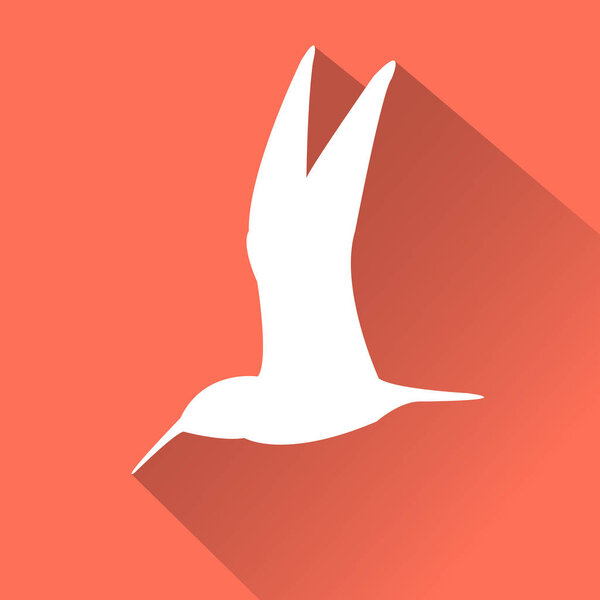 пиктограмма колибри
