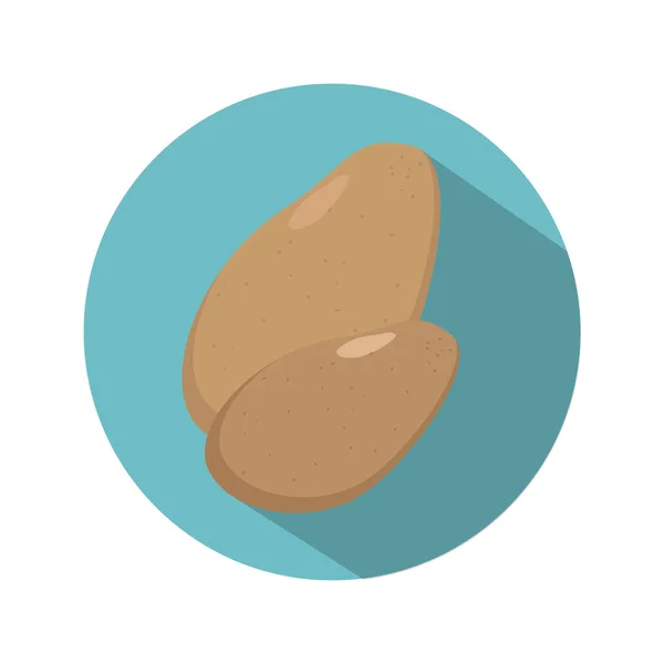 Deux bulbes de pommes de terre — Image vectorielle