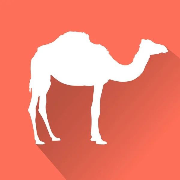 Camel pictograma plat — Vector de stoc
