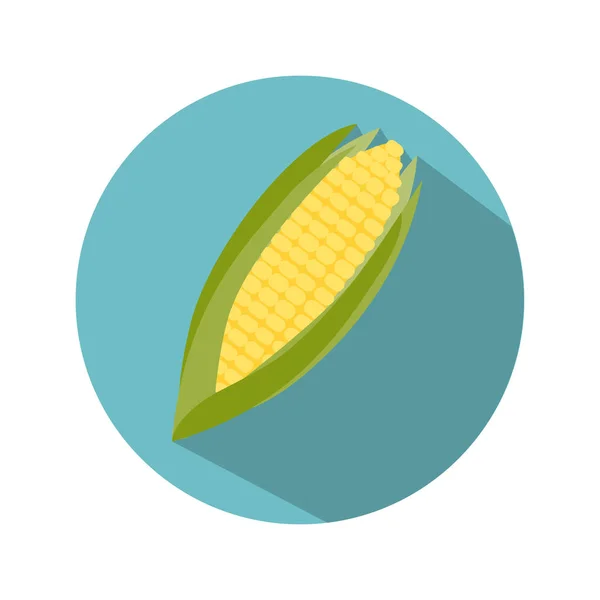Зрелая икона кукурузы — стоковый вектор