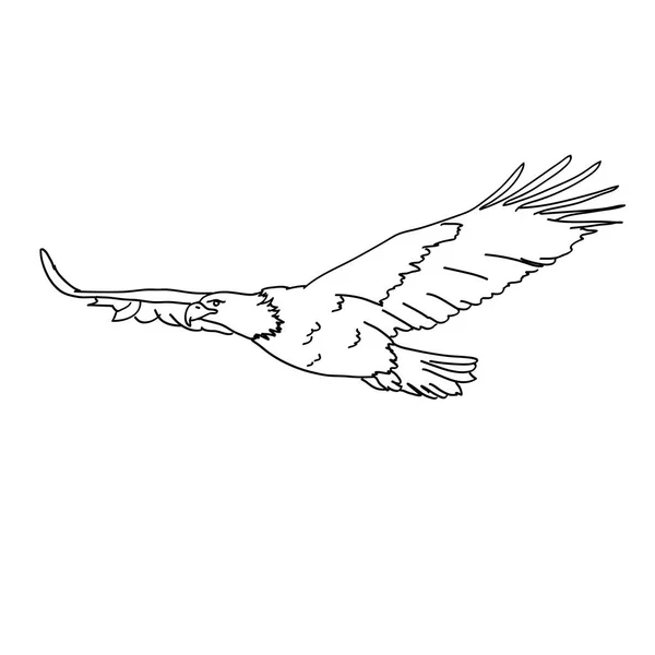 Eagle fågel ikonen — Stock vektor