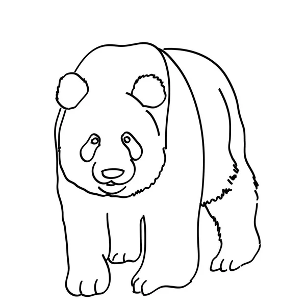 Panda bear ikona — Stockový vektor