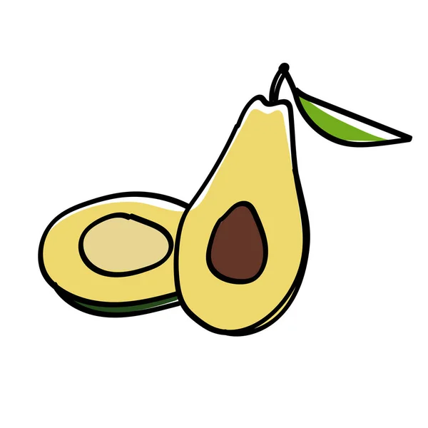 Hand getekende gesneden avocado — Stockvector