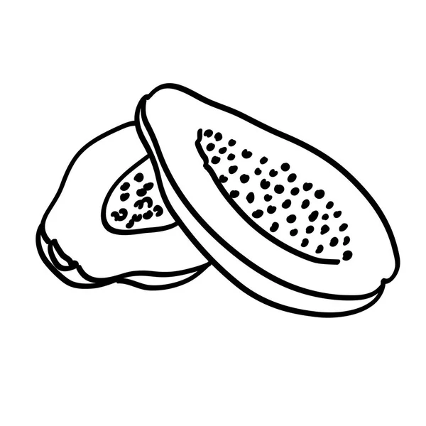 Papaye demi tranchée dessinée à la main — Image vectorielle