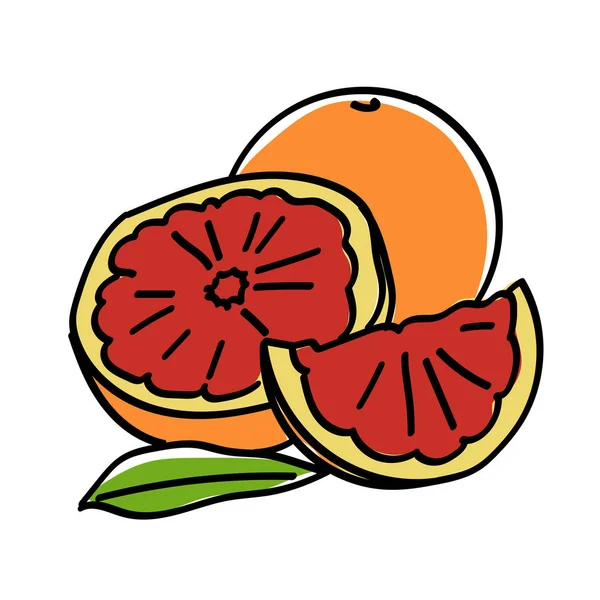 手绘切片和整个橙子 — 图库矢量图片