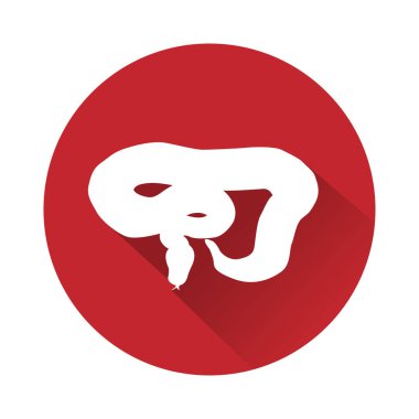 Beyaz hayvan simgesi