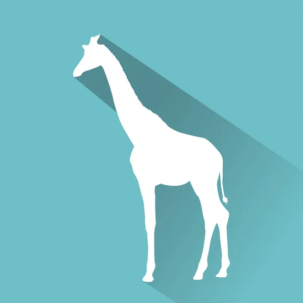 Icono animal blanco — Foto de stock gratis