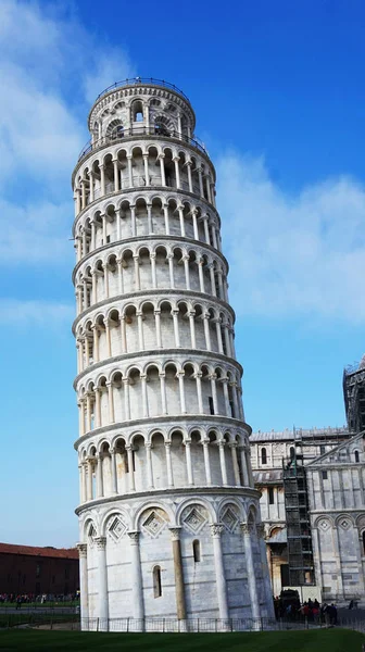 피사의 사탑, 멋진 중세 기념물, 이탈리아에서 가장 유명한 랜드마크 중 하나 — 스톡 사진