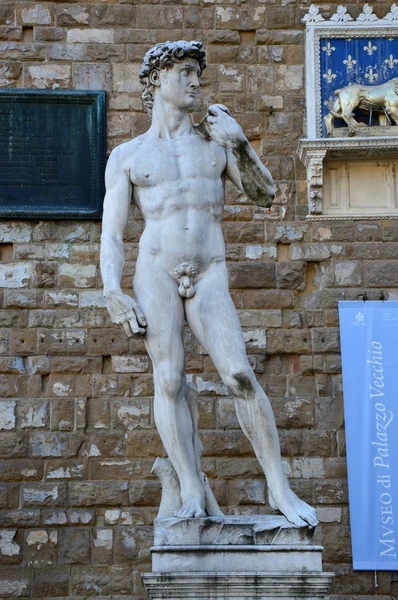 Kopie sochy Davida Michelangelo ve Florencii se stínem jeho, Piazza della Signoria, Florencie, Itálie — Stock fotografie