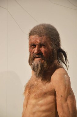 Bolzano, İtalya - 27 Nisan 2016: Üreme Oetzi South Tyrol Müzesi Arkeoloji Bolzano, South Tyrol, İtalya'nın Similaun adamı